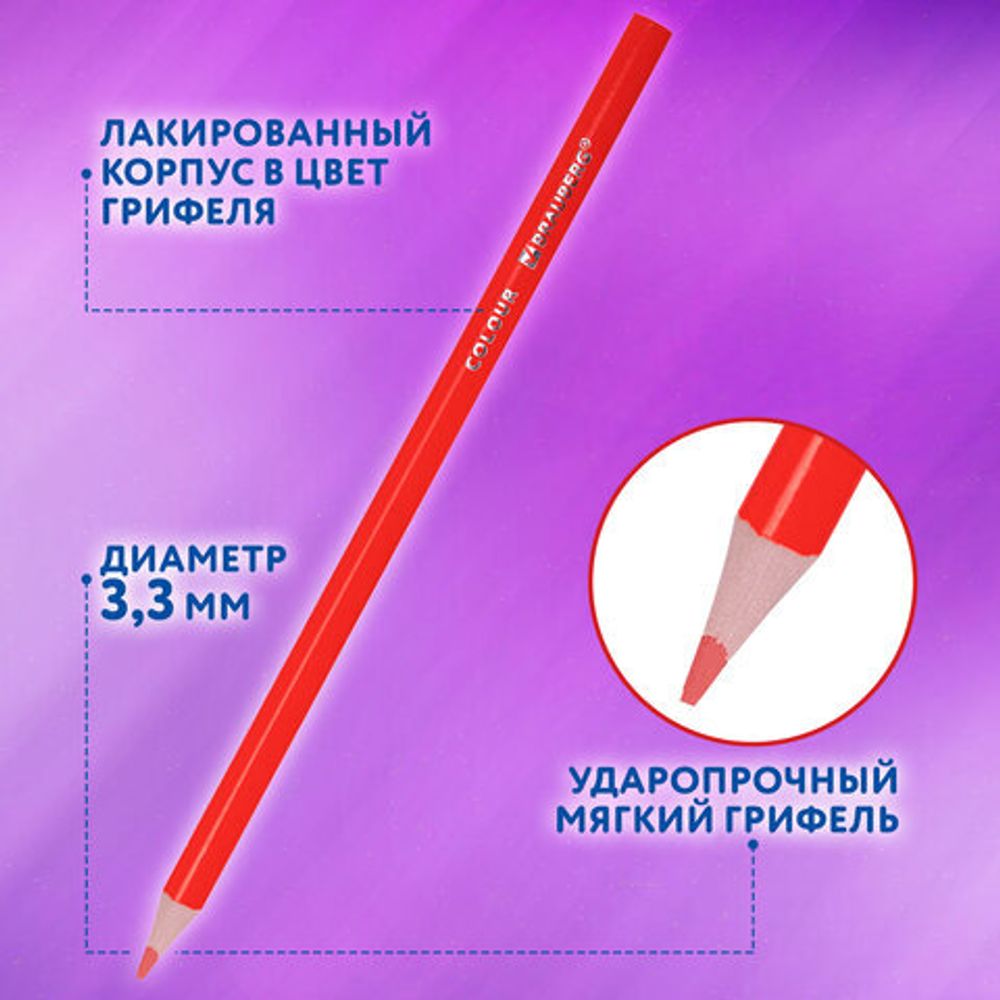 Карандаши цветные BRAUBERG PREMIUM 50 цветов в тубе, трехгранные, грифель 3,3 мм, натуральное дерево, 181935