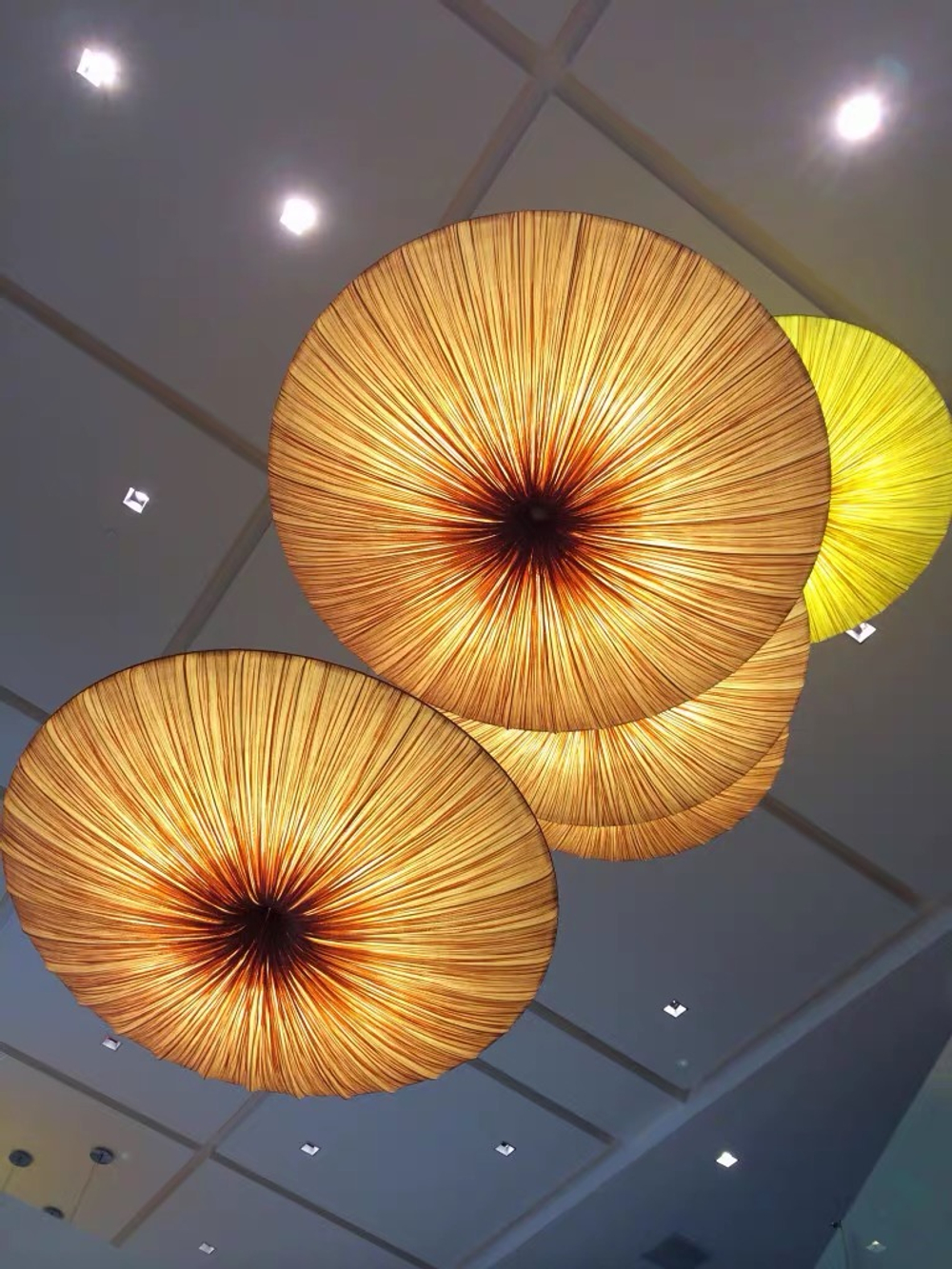 Wall design lamp Sahara Wall & Ceiling Light by Aqua Creations Studio