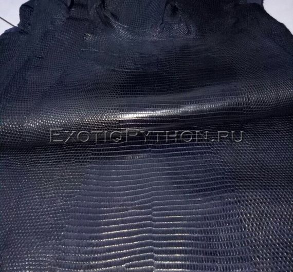 Кожа ящерицы SK-23