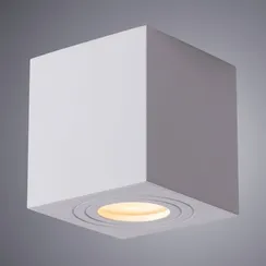 Потолочный светильник уличный Galopin A1461PL-1WH Arte Lamp