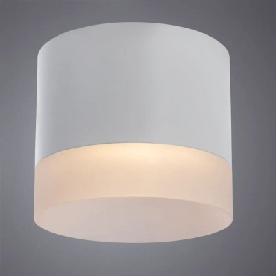 Точечный накладной светильник Arte Lamp CASTOR A5554PL-1WH, 1хGX53