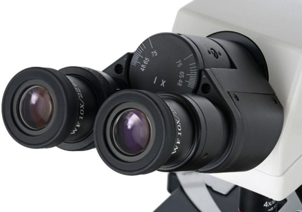 Микроскоп Levenhuk MED 45B
