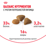Royal Canin Savour Exigent Сэйвор Экзиджент Корм сухой для взрослых кошек привередливых ко вкусу 10кг