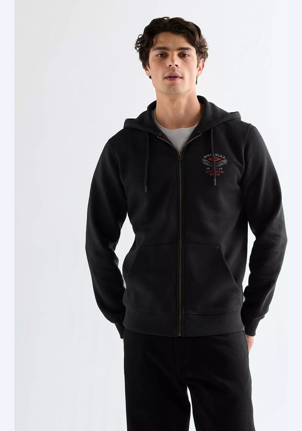 Джемпер GRAPHIC ZIP HOODIE 112378029