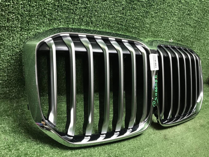 Решетка радиатора BMW X7 G07 (2019-2022)