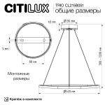 Подвесная светодиодная люстра Citilux TRIO CL215B051