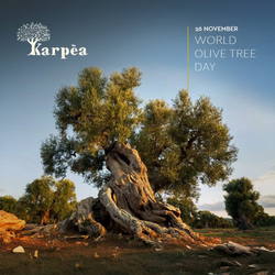 Оливковое масло Karpea LADOLIA MEGARITIKI Extra Virgin 0.5 л, Греция