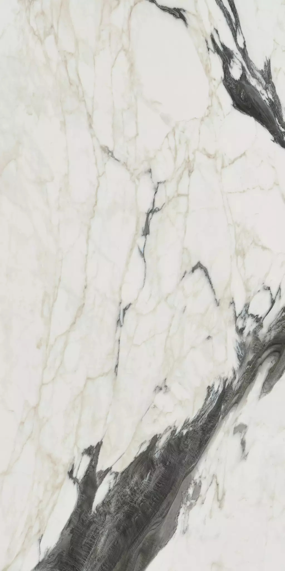 Керамогранит Bijoux Calacata Altissimo Blanc Glossy