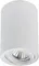 Точечный светильник Sentry A1566PL-1WH Arte Lamp