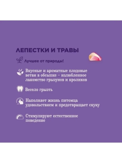 Лакомство для грызунов Ветви с травами и лепестками 35г