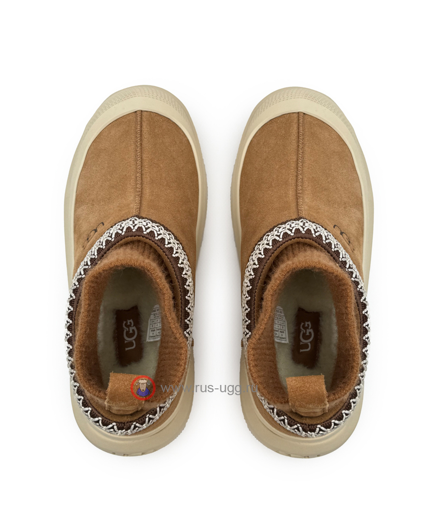 UGG TAZZ KNIT HYBRID Сhestnut