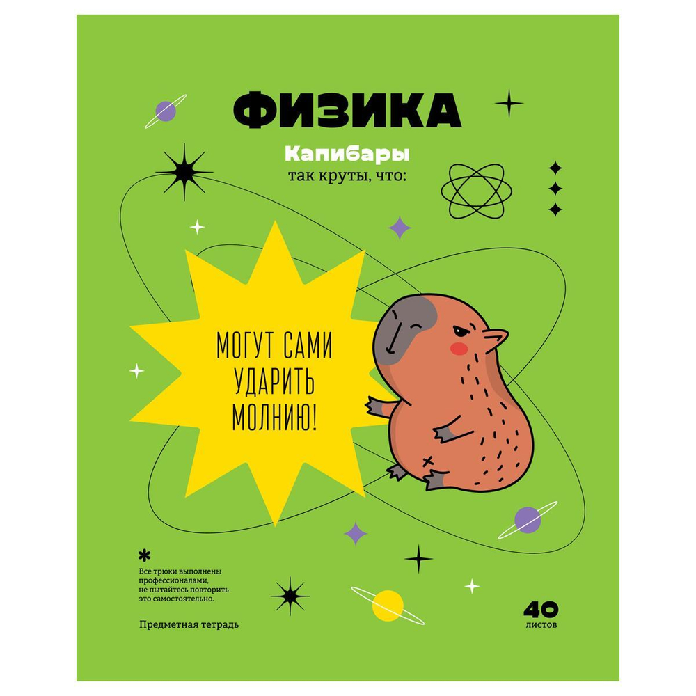 Тетрадь предметная 40л. Физика "Записки школьника" (BG)