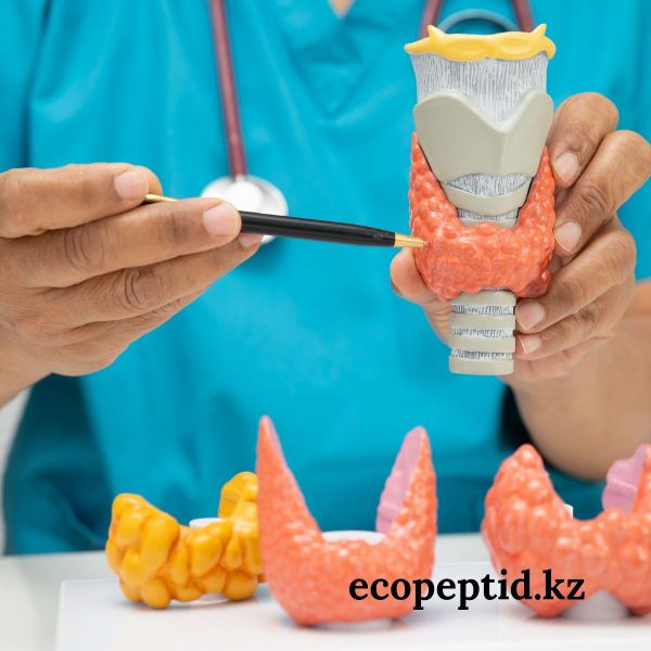 Всемирный день щитовидной железы (World Thyroid Day)