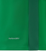 Футболка игровая Jogel DIVISION PerFormDRY Element Jersey 26, зеленый 72