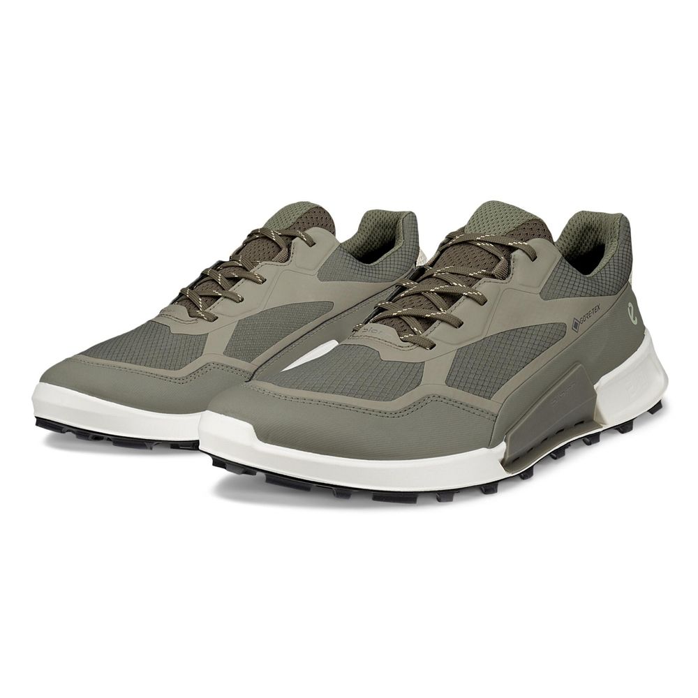 Кроссовки мужские ECCO BIOM 2.1 X MOUNTAIN M