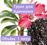 Авторский грунт для Адениума, 1 литр универсальный 1 литр грунтв