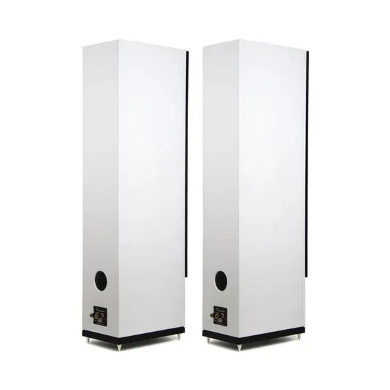 Radiotehnika Gamma 3.03 White Ash