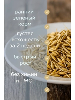Сидерат Рожь 1 кг