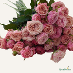 Фон карточки (81).png