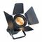 Anzhee PRO Fresnel 350 RGBACL