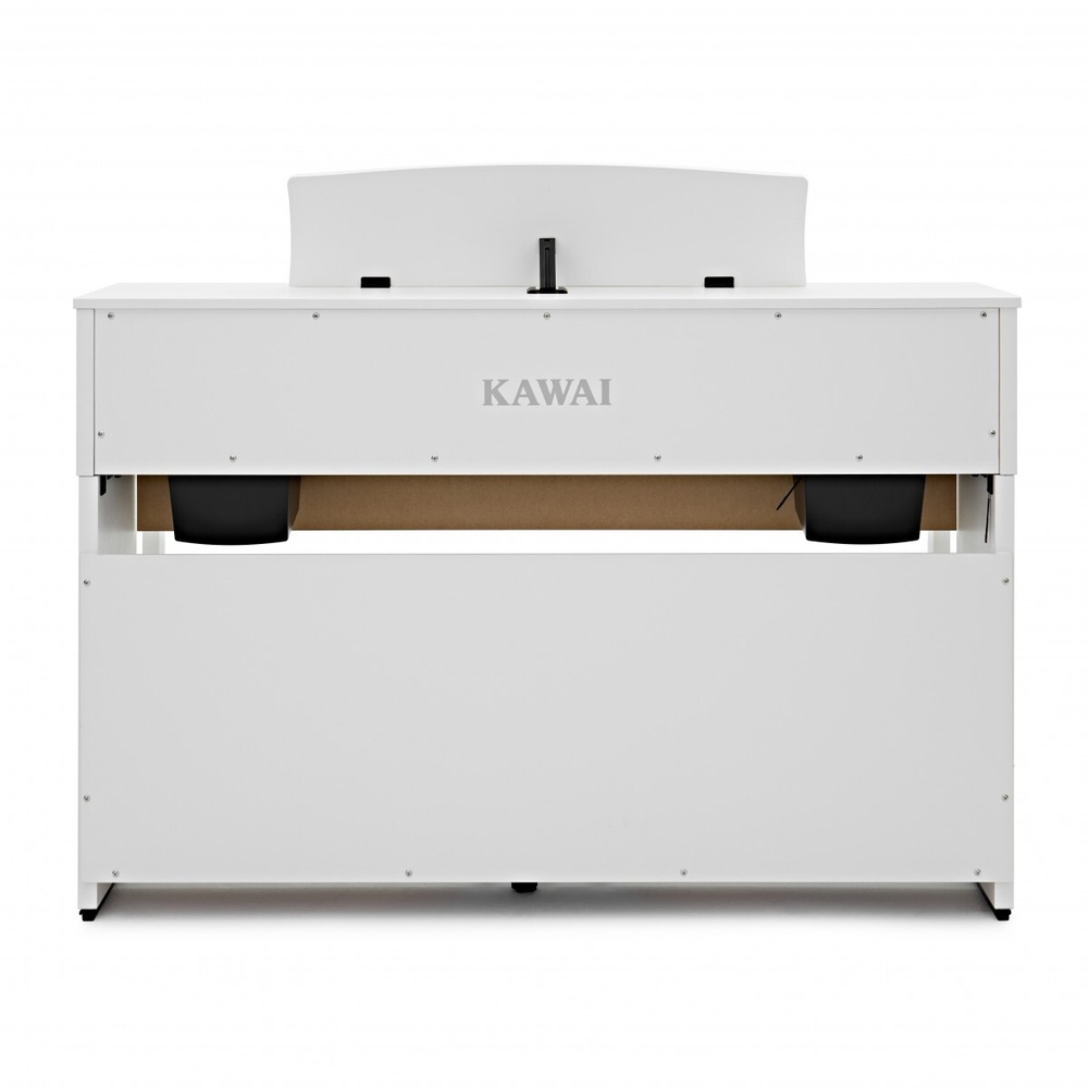 Kawai CA401