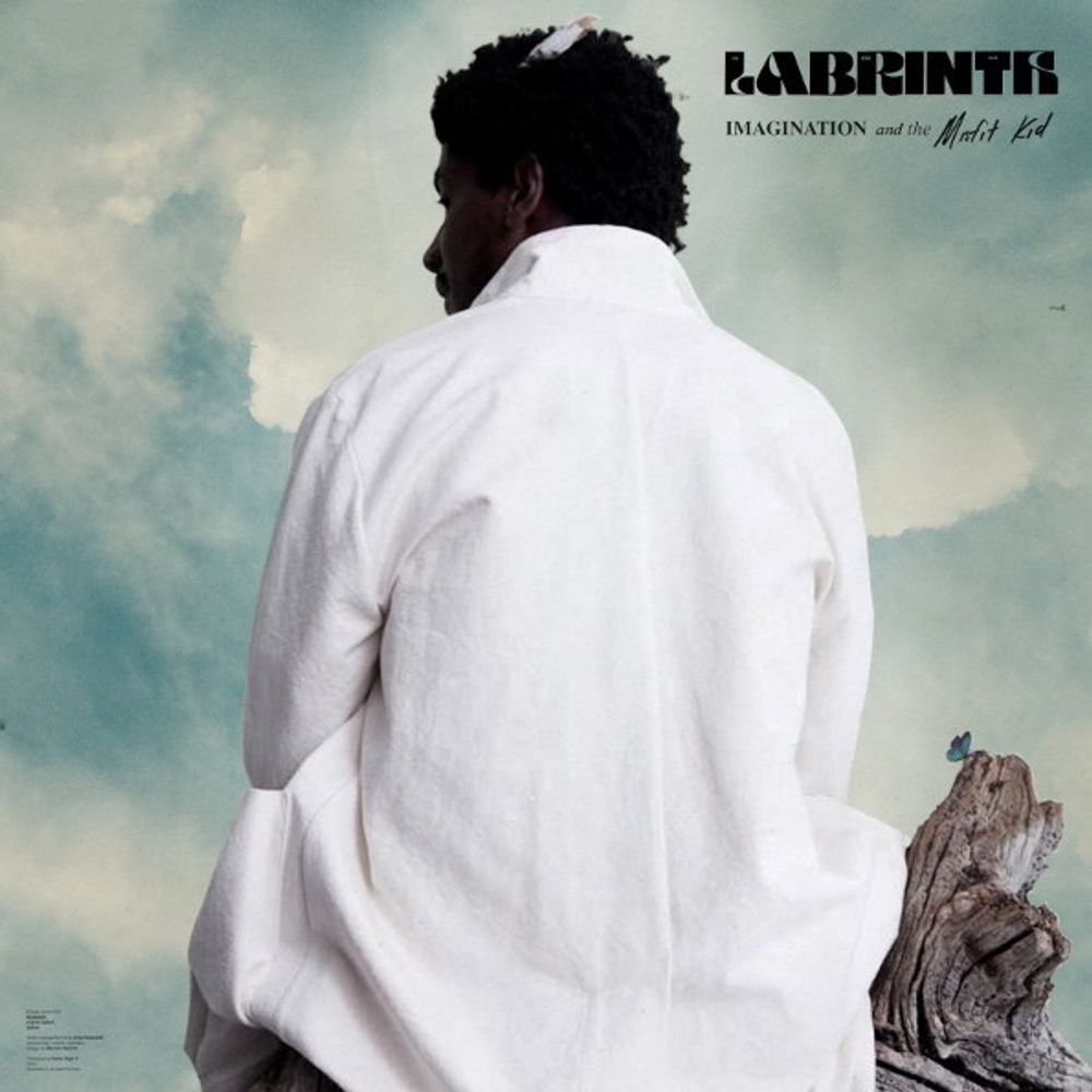 Labrinth / Imagination & The Misfit Kid (LP) Labrinth / Imagination & The Misfit Kid (LP)