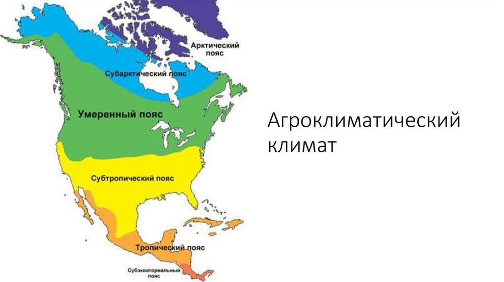 Государства Северной Америки. Социально-экономическая карта — купить по ФГОС | Учебный стандарт