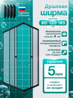 Душевая ширма DIONRIA (100х80) прозрачное стекло, профиль черный