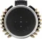 Bang &amp; Olufsen Beolab 28 with Gold Tone/Dark Oak