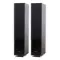 Radiotehnika Gamma 3.02 Black
