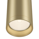 Накладной светильник Maytoni Focus C010CL-01MG