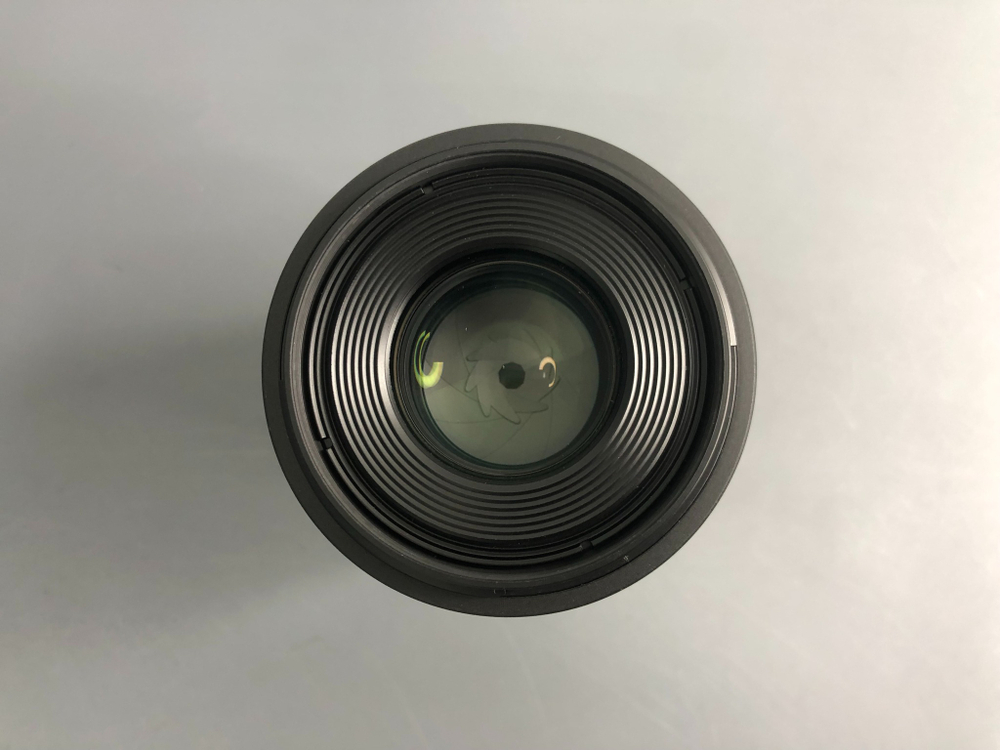 Canon RF 100mm 2.8 L Macro IS USM