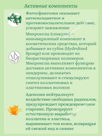Балансирующая двухфазная маска с микроиглами 1 шт* 1,5 gr + 25 gr VT Cosmetics Reedle Shot 100 2 Step Mask