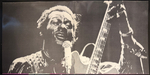 Chuck Berry ‎– Back In The USA 2LP (Дания)
