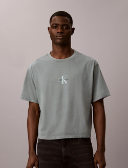 Футболка Calvin Klein Monologo 90s Fit Frosted Spruce