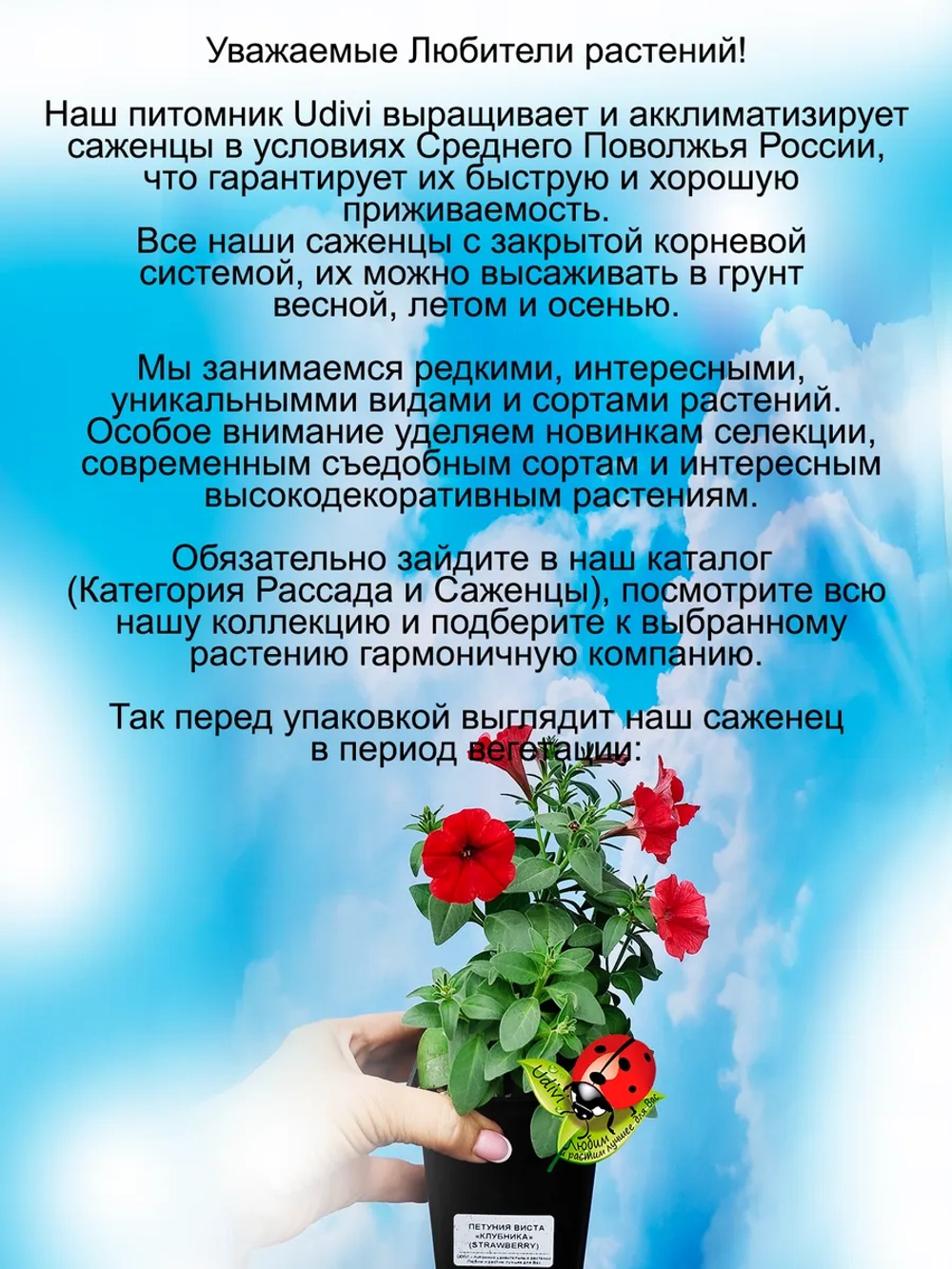 Петуния Клубника Супертуния Виста Строббери