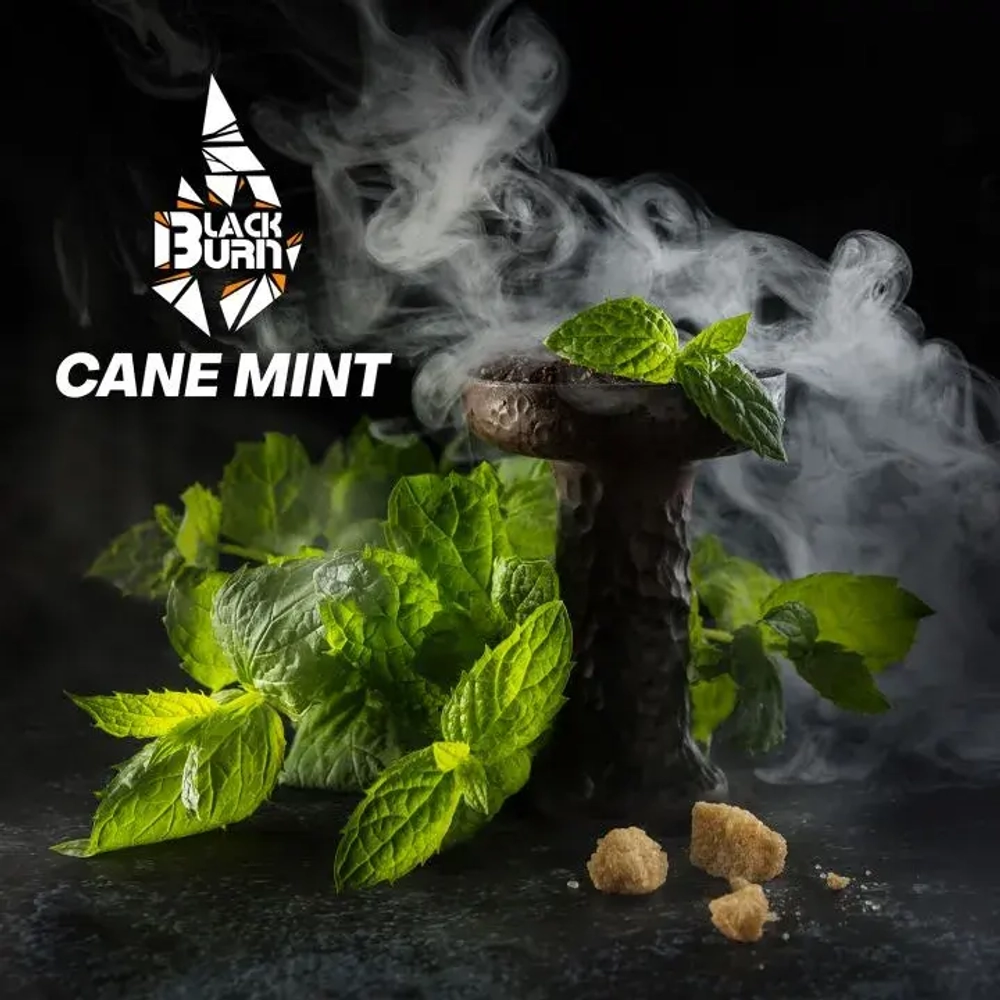 BlackBurn 100гр. Cane Mint (Тростниковая мята) (М)