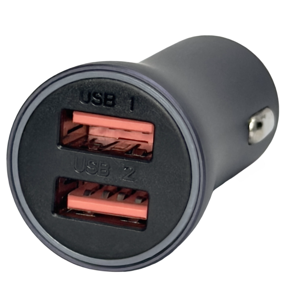 Автомобильное заряд. устр. Baseus Golden Contactor Pro 2USB 40W (CCJD-A0G) серое