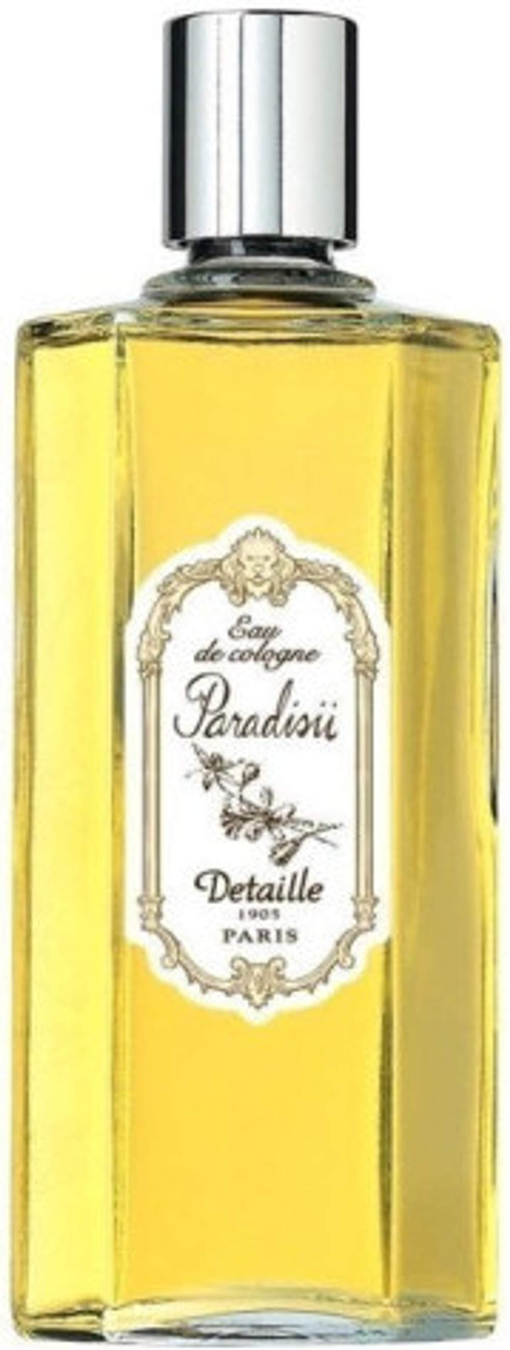 Detaille 1905 Paris Paradisii