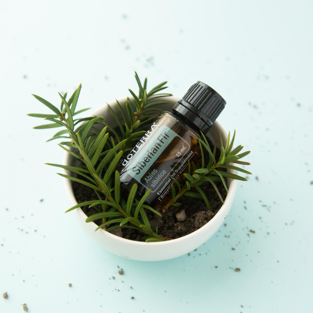 Эфирное масло dōTERRA Сибирская пихта, Siberian Fir, 15 мл