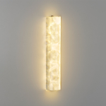 Настенный светодиодный светильник Odeon Light SEASHELL 7199/10WL