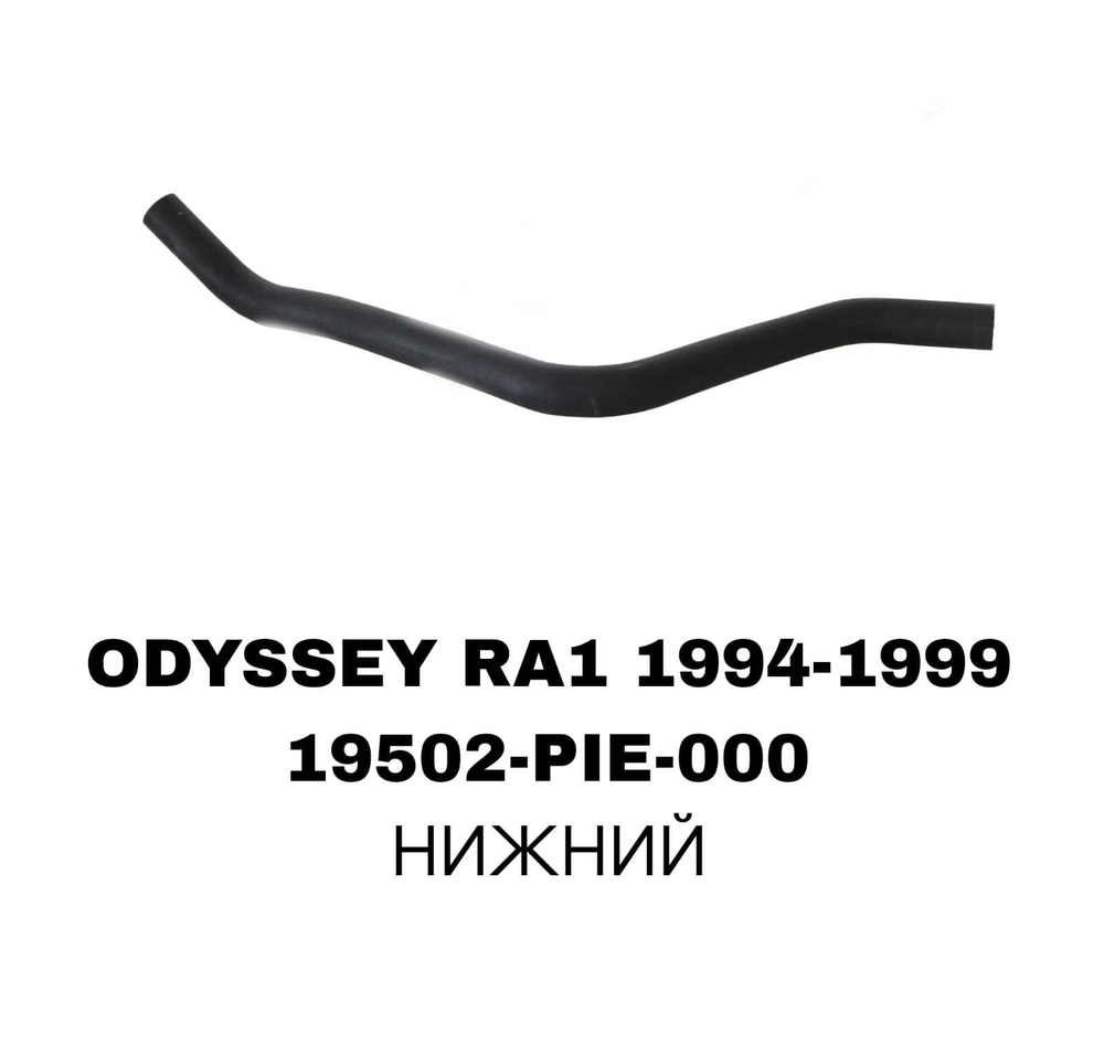 ПАТРУБОК РАДИАТОРА ODYSSEY RA1