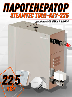 Steamtec TOLO KEY 225 - 22,5 кВт (ВЛАГОСТОЙКИЙ модуль управления), парогенератор для хамама и турецкой бани