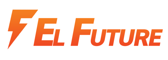 Создание интернет-магазина ElFuture