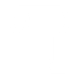 Dyson