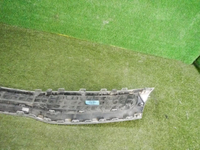 DSCN9138.jpg