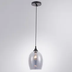 Подвесной светильник Propus A4344SP-1BK Arte Lamp