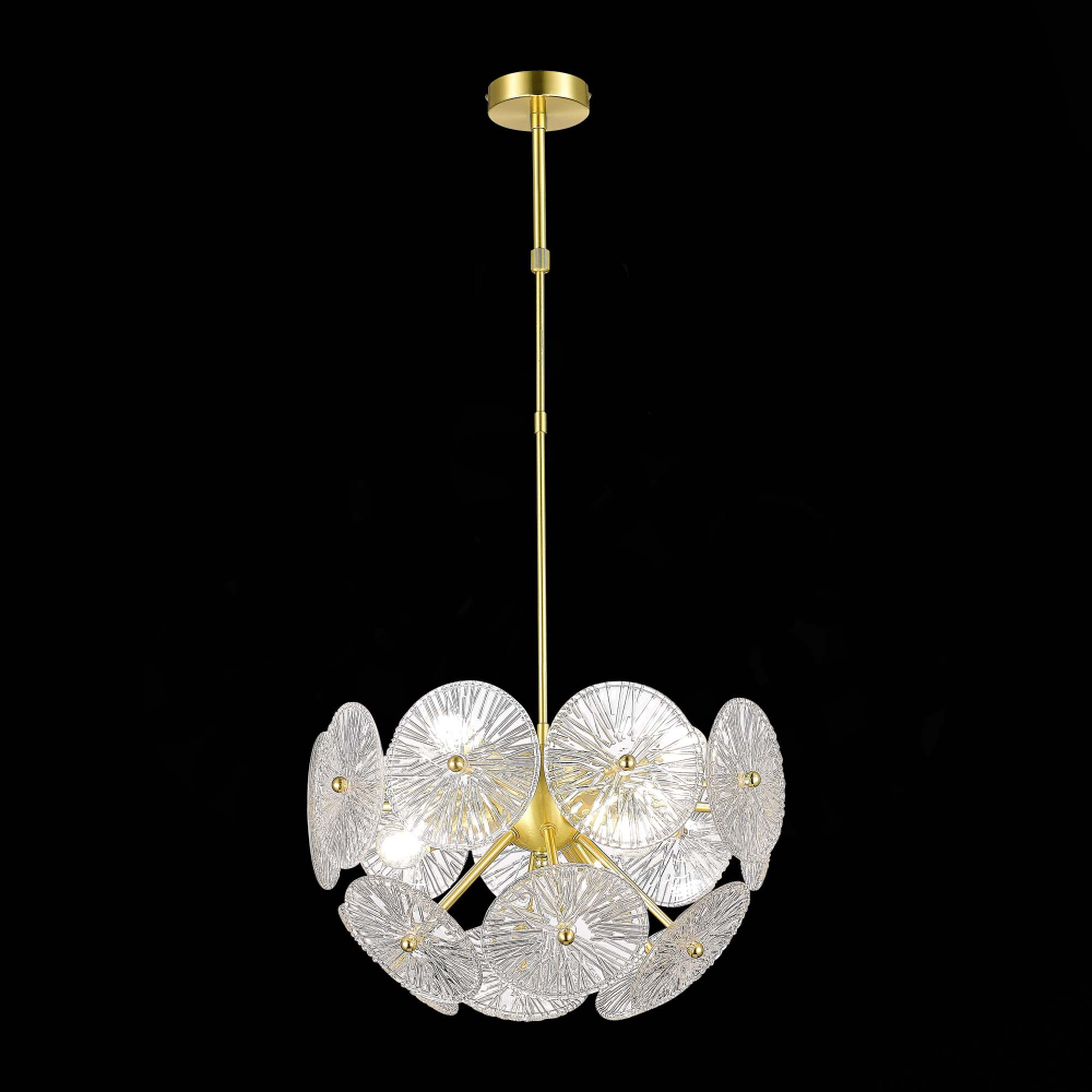 Люстра подвесная ST Luce Flero SL1657.203.06