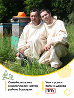Мёд натуральный с живицей и кедровым орехом, 300 г