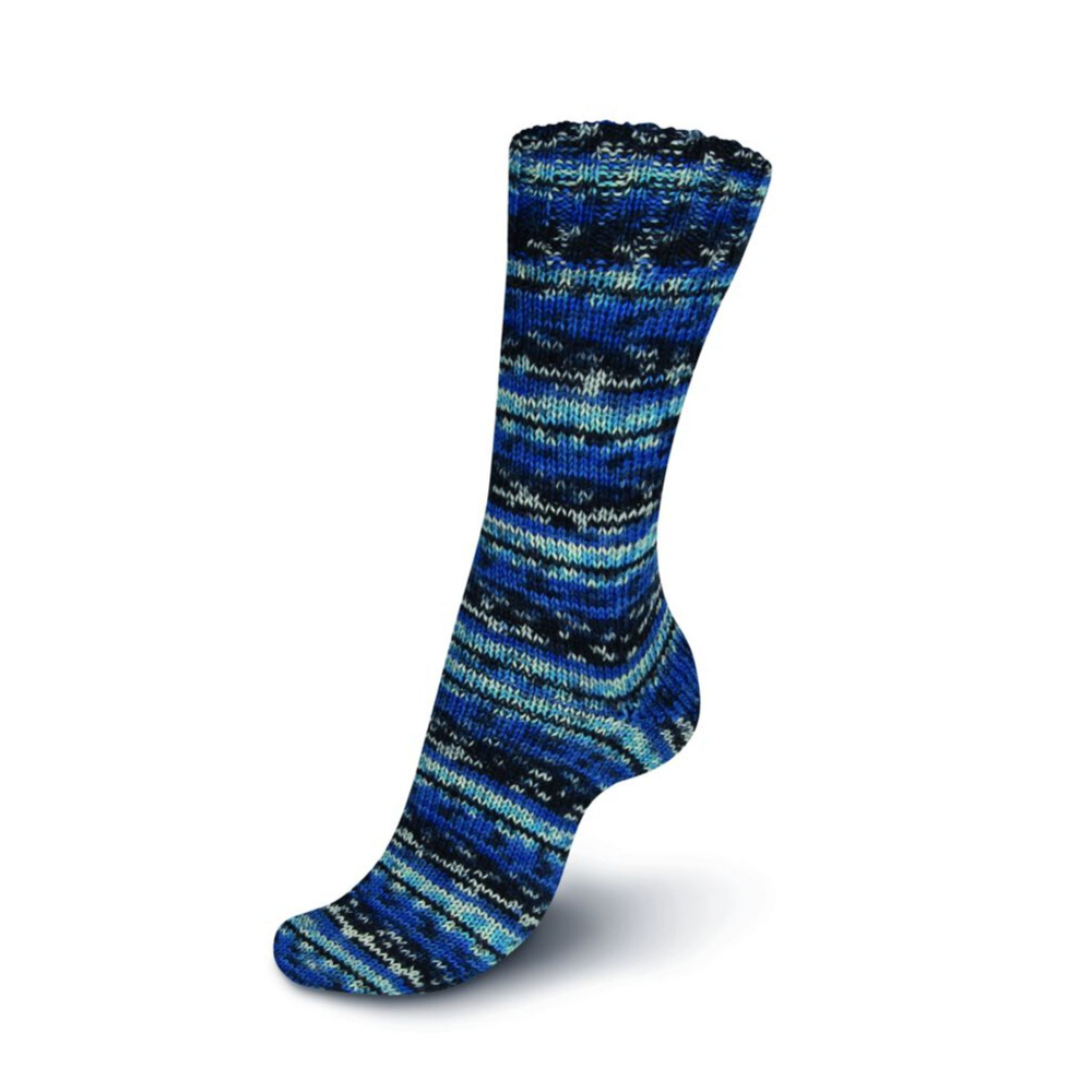 Regia Design Line 4 ply - 03891 (breivikbotn color)